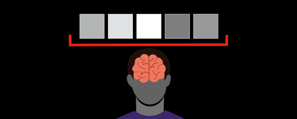 5 Math Areas Humanity Must Preserve